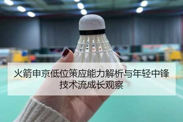 火箭申京低位策应能力解析与年轻中锋技术流成长观察