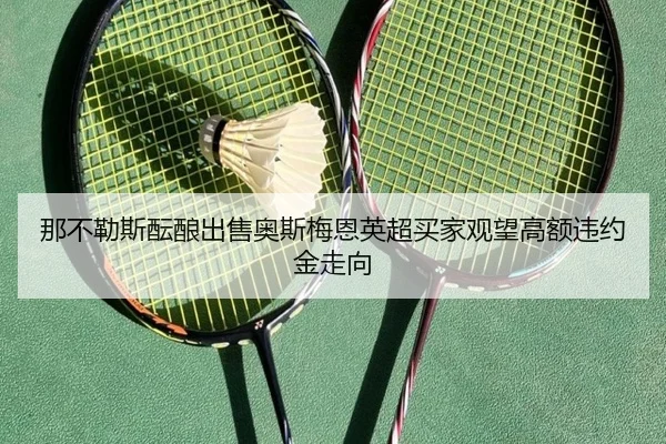 na-bu-le-si-yun-niang-chu-shou-ao-si-mei-en-ying-chao-mai-jia-guan-wang-gao-e-wei-yue-jin-zou-xiang-2-772.jpg